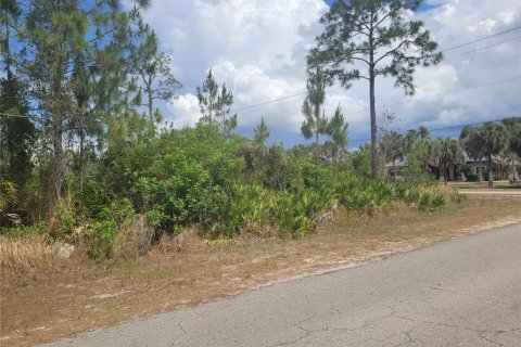 Land in Lehigh Acres, Florida № 2214099 - photo 4