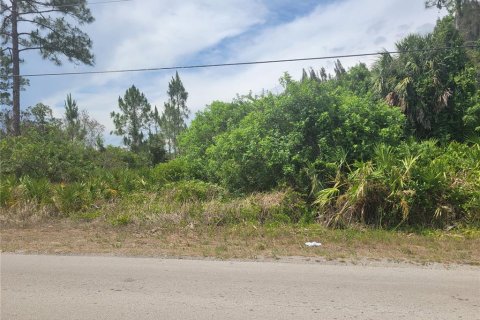 Land in Lehigh Acres, Florida № 2214099 - photo 11