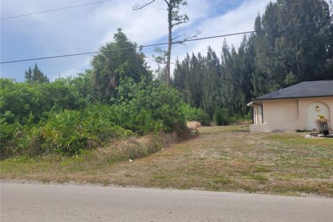 Land in Lehigh Acres, Florida № 2214099 - photo 9