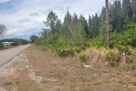 Land in Lehigh Acres, Florida № 2214099 - photo 8