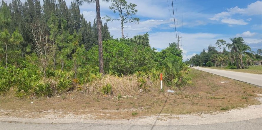 Land in Lehigh Acres, Florida № 2214099