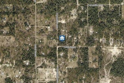 Land in Brooksville, Florida № 2122432 - photo 3