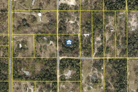 Land in Brooksville, Florida № 2122432 - photo 2