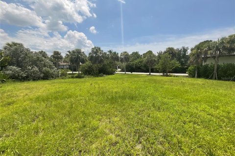 Land in Sarasota, Florida № 1346511 - photo 10