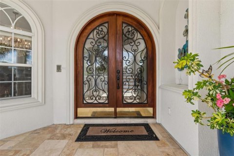 House in Tampa, Florida 6 bedrooms, 542.27 sq.m. № 2093798 - photo 5