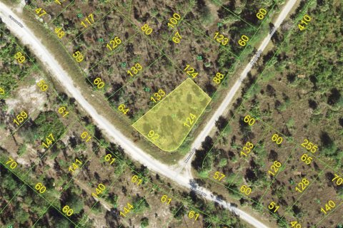 Terrain à Punta Gorda, Floride № 2159713