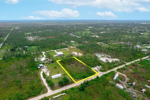 Terrain à vendre à Punta Gorda, Floride № 1901679 - photo 8