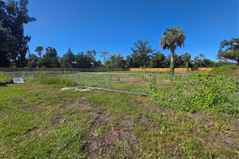Terrain à vendre à Punta Gorda, Floride № 2429440 - photo 5