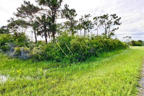 Terreno en venta en Port Charlotte, Florida № 2206630 - foto 8