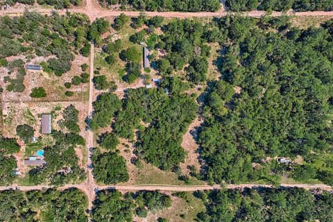 Land in Bronson, Florida № 1852885 - photo 7