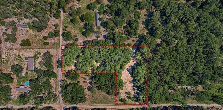 Land in Bronson, Florida № 1852885