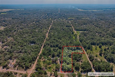 Land in Bronson, Florida № 1852885 - photo 2