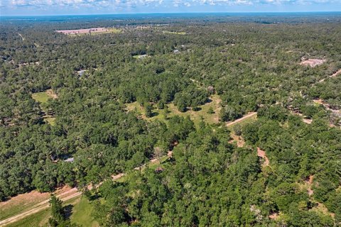Land in Bronson, Florida № 1852885 - photo 3