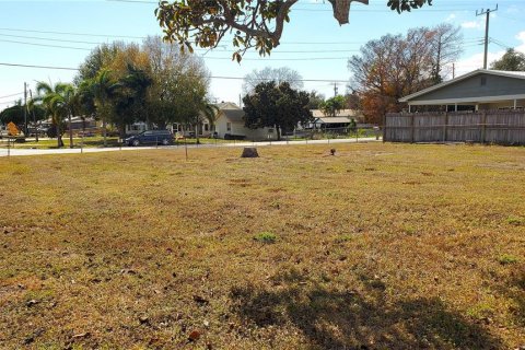 Terreno en venta en Okeechobee, Florida № 2097964 - foto 9