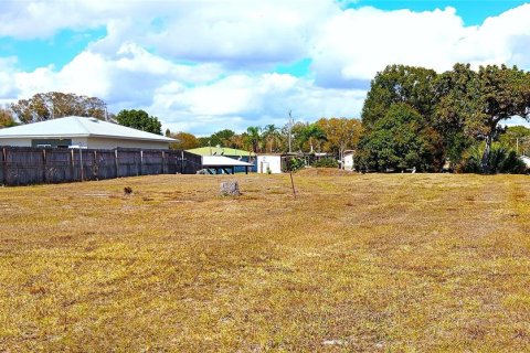 Terreno en venta en Okeechobee, Florida № 2097964 - foto 8