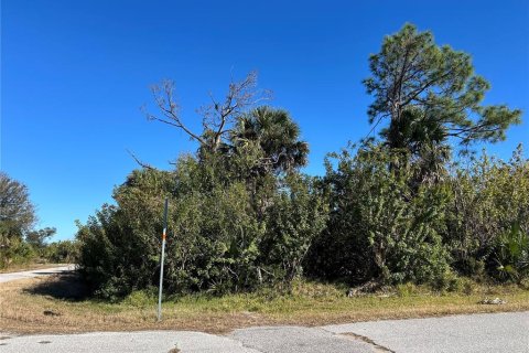 Land in Port Charlotte, Florida № 2160939 - photo 2