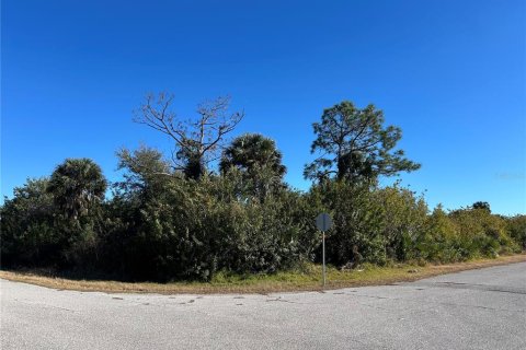 Land in Port Charlotte, Florida № 2160939