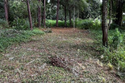 Land in Lakeland, Florida № 1386701 - photo 6