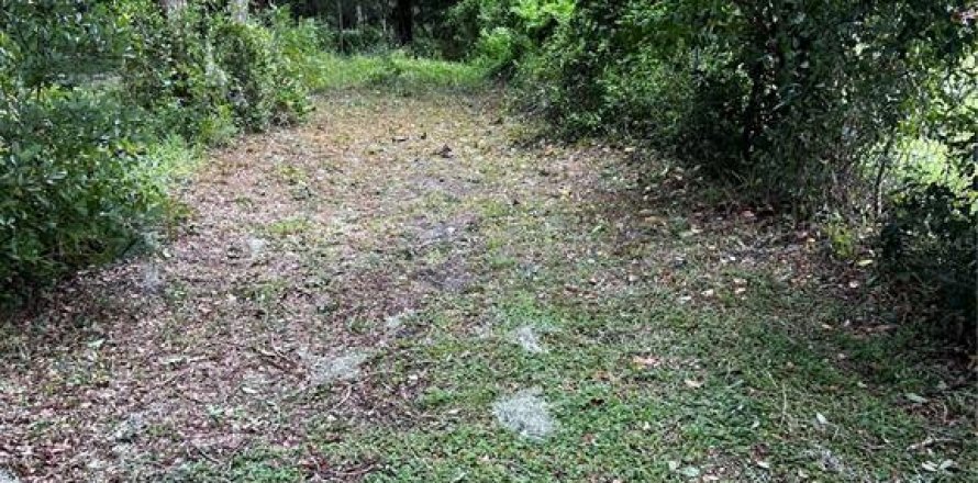 Land in Lakeland, Florida № 1386701