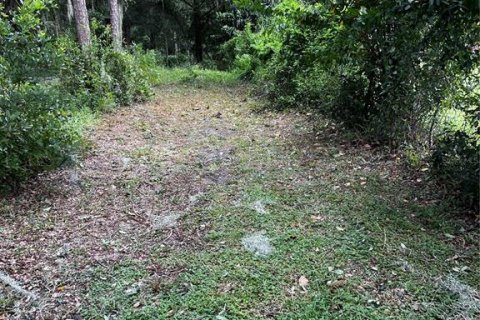 Land in Lakeland, Florida № 1386701 - photo 4