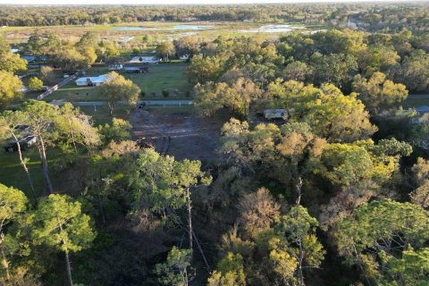 Land in Lakeland, Florida № 1386701 - photo 3