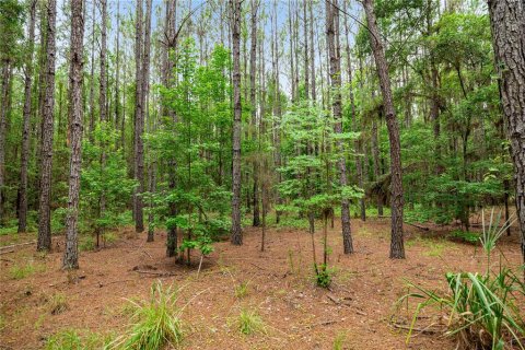 Terreno en venta en Reddick, Florida № 1777959 - foto 16