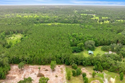 Terreno en venta en Reddick, Florida № 1777959 - foto 4