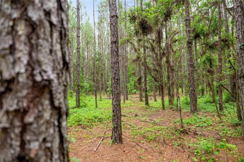 Terreno en venta en Reddick, Florida № 1777959 - foto 13