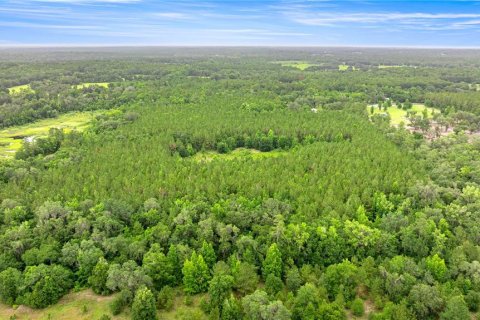 Terreno en venta en Reddick, Florida № 1777959 - foto 6