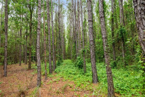 Terreno en venta en Reddick, Florida № 1777959 - foto 14