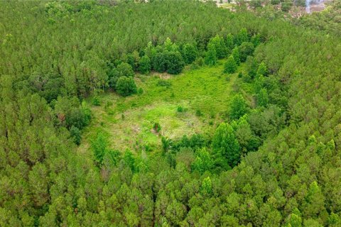 Terreno en venta en Reddick, Florida № 1777959 - foto 8
