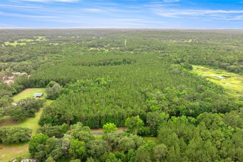 Terreno en venta en Reddick, Florida № 1777959 - foto 2