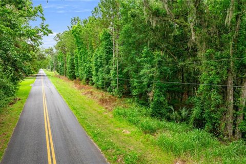 Terreno en venta en Reddick, Florida № 1777959 - foto 10