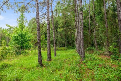Terreno en venta en Reddick, Florida № 1777959 - foto 17