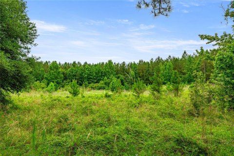 Terreno en venta en Reddick, Florida № 1777959 - foto 18