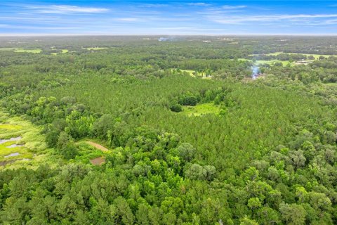 Terreno en venta en Reddick, Florida № 1777959 - foto 7