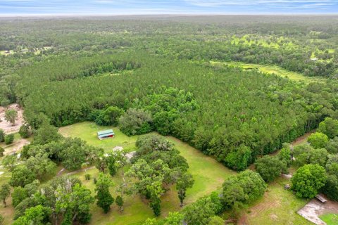 Terreno en venta en Reddick, Florida № 1777959 - foto 3