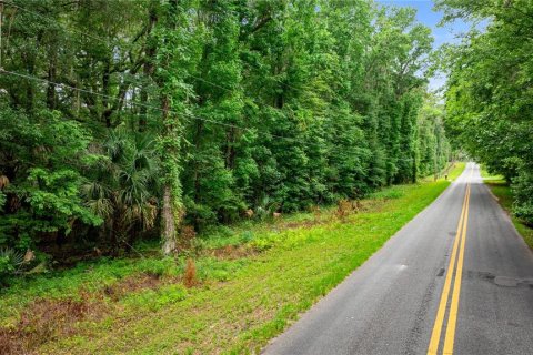 Terreno en venta en Reddick, Florida № 1777959 - foto 11