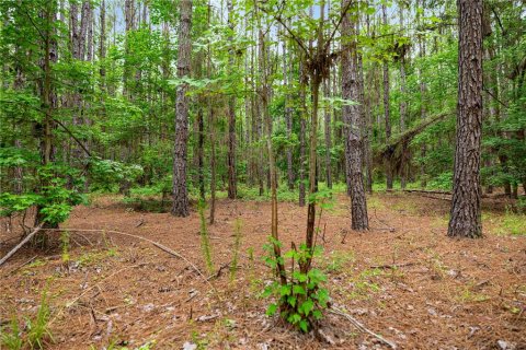 Terreno en venta en Reddick, Florida № 1777959 - foto 15