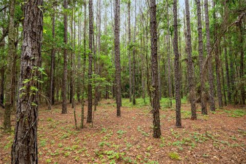 Terreno en venta en Reddick, Florida № 1777959 - foto 19