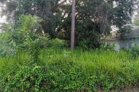 Land in Kissimmee, Florida № 1836926 - photo 1