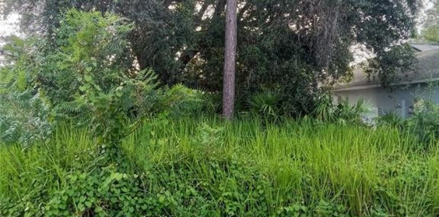 Land in Kissimmee, Florida № 1836926