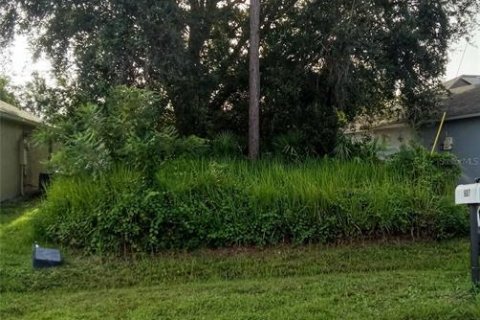 Land in Kissimmee, Florida № 1836926 - photo 2