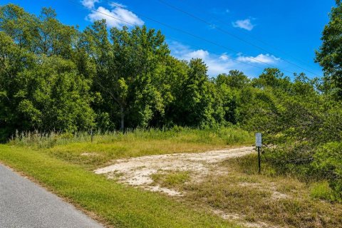 Land in Ocklawaha, Florida № 2342659