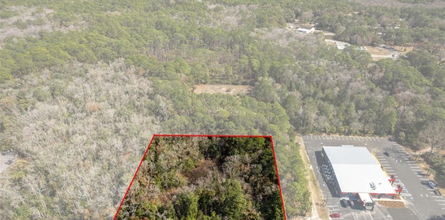 Terrain à Homosassa, Floride № 2131786