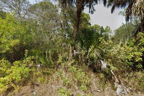 Land in Port Charlotte, Florida № 2159727