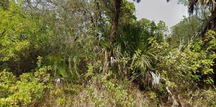 Land in Port Charlotte, Florida № 2159727