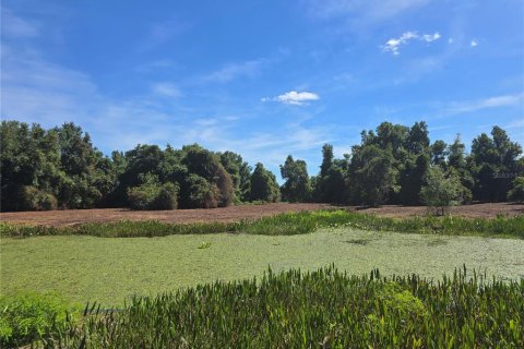 Land in Center Hill, Florida № 1900768 - photo 15