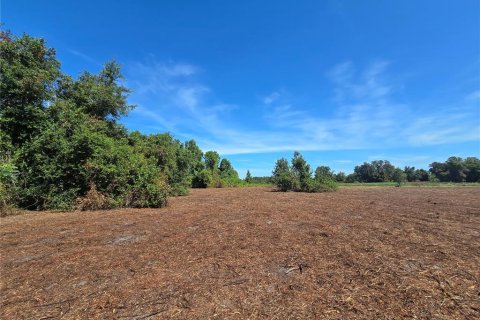 Land in Center Hill, Florida № 1900768 - photo 30