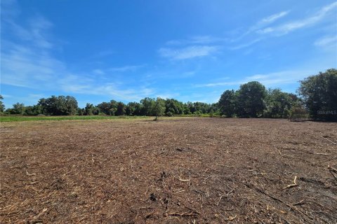 Land in Center Hill, Florida № 1900768 - photo 28